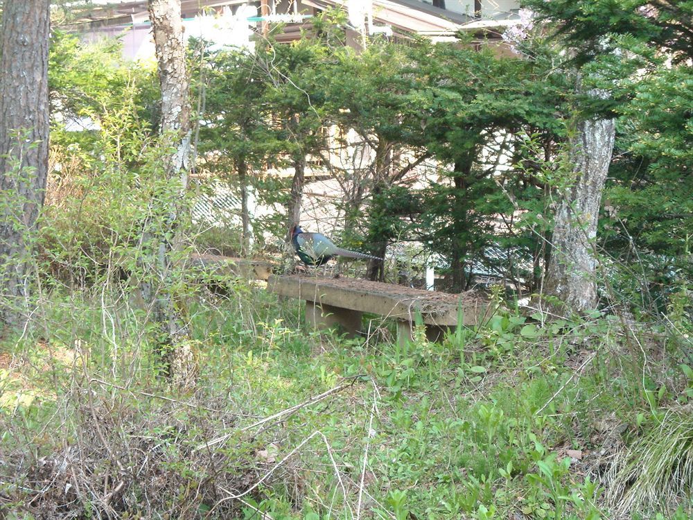 Hida Gasshoen Takayama  Esterno foto
